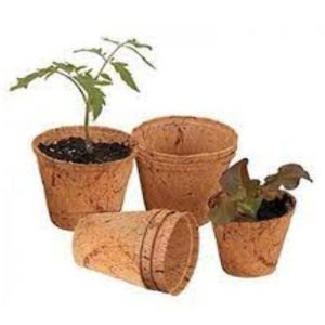 3 Inch Coir Seedling Pot