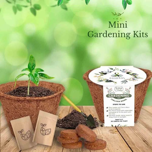 Eco Friently Corporate Gift for Employee Plant Grow Kits