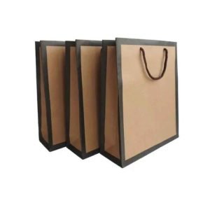 Plain Brown Eco Friendly Paper Gift Bag